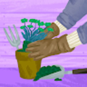 Meet your Posher, Lisa